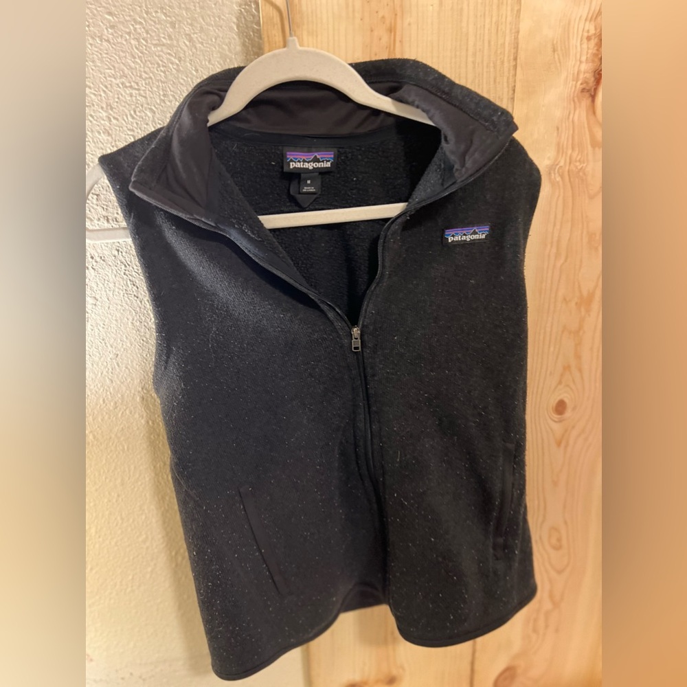 Patagonia Fleece Vest